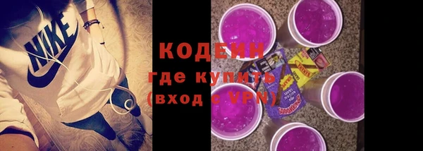 стаф Ельня