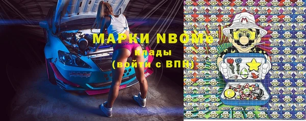 стаф Ельня