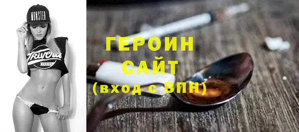 стаф Ельня