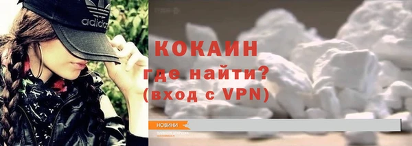 стаф Ельня