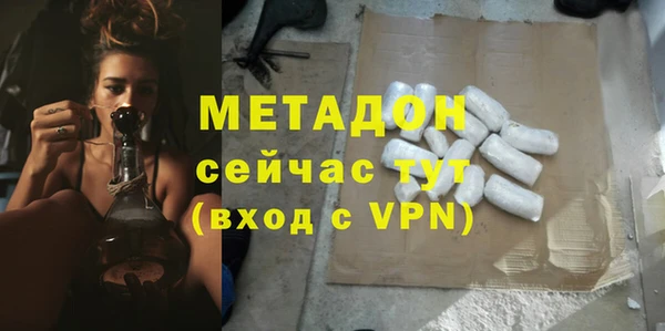 стаф Ельня