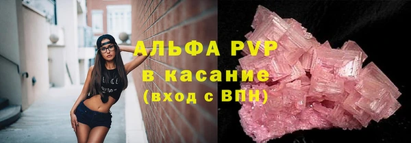 стаф Ельня
