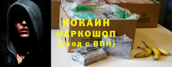 шишки Елабуга