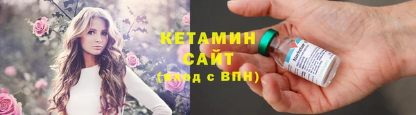 стаф Ельня