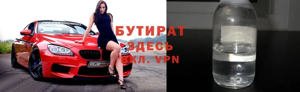 стаф Ельня