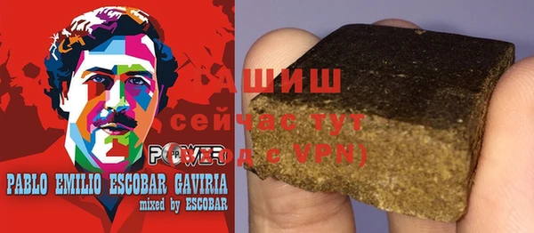 стаф Ельня
