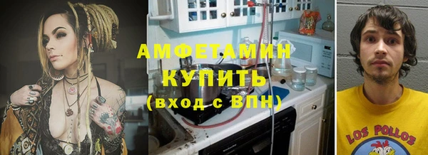 стаф Ельня