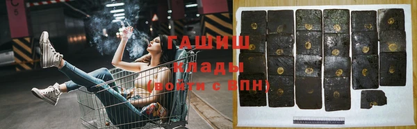 стаф Ельня